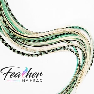 May include: A bundle of long, multi-colored feathers with black tips. The feathers are arranged in a wave-like pattern and are a mix of white, light green, and dark green.