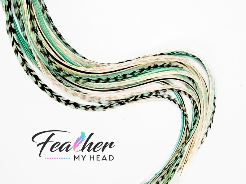 May include: A bundle of long, multi-colored feathers with black tips. The feathers are arranged in a wave-like pattern and are a mix of white, light green, and dark green.