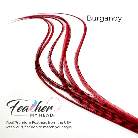 Brown Hair Feather Extensions, Pick Your Length up to 16 Plus Inches Long,  6 Premium Hair Feathers Optional Feather Kit Furnace Brown 
