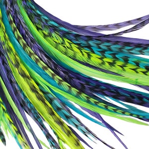 Caribbean Hair Feathers, Pick Your Length Up to 16 Plus Inches Long, 6 Premium Feathers in Turquois/ Blue, Purple and Green Colors
