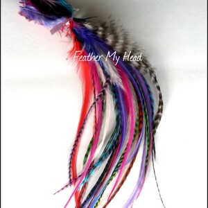 50 Pc Whiting Wide Feather Extensions With Fluff / Bright Grizzly Colors / 7 12 Inches Long image 4