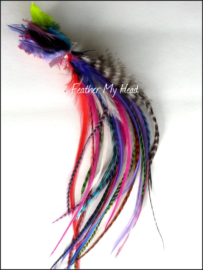 50 Pc Whiting Wide Feather Extensions With Fluff / Bright Grizzly Colors / 7 12 Inches Long image 4