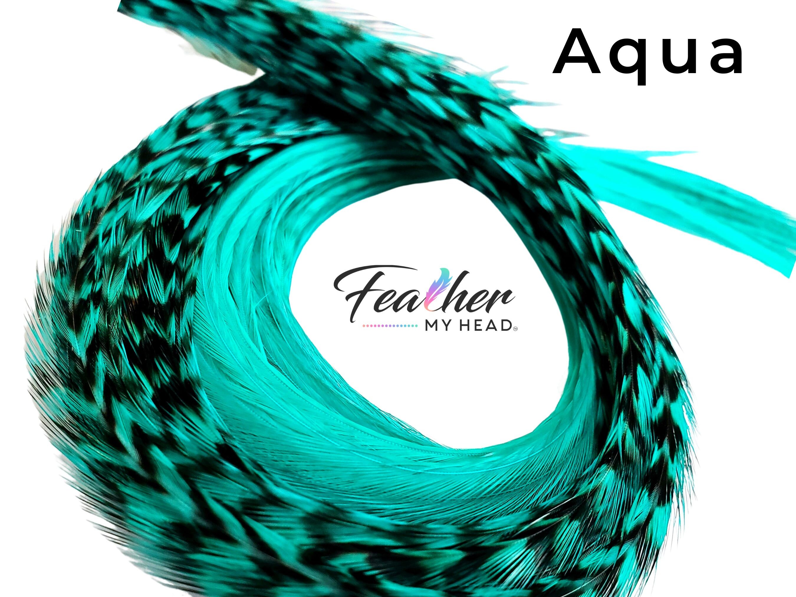Aqua Blue Hair Feather Extensions. (1) Single Feather, Long Lengths Over 16 Inches and Hair Feather Kit Available