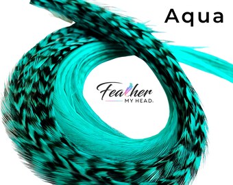 May include: Aqua colored feathers with black markings, arranged in a circle. The text "Feather My Head" is visible in the center of the circle.
