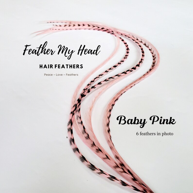 Feather Hair Extension Kit 6 Real Feathers With Optional Etsy