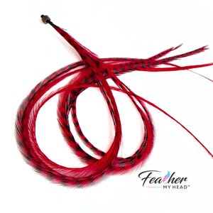 Red Hair Feather Extensions. (1) Feather, Long Lengths and Hair Feather Kit Available