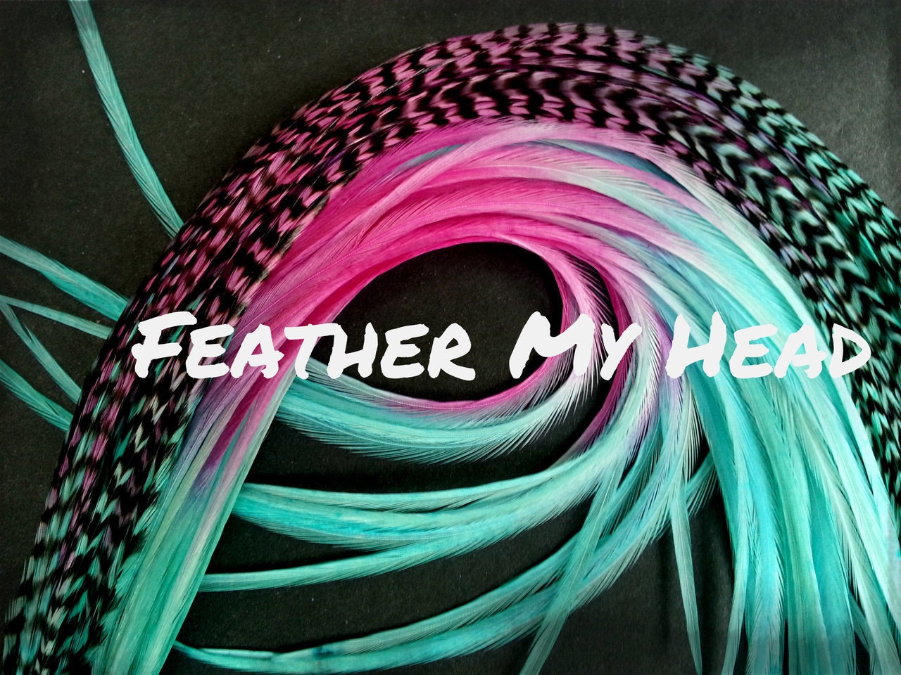 Feather Hair Clip #6 (rainbow Long)