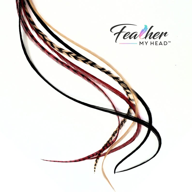 Feather Hair Extension Kit,  6 Real Feathers, Pick Your Length Short to Mega Long 16 In Hair Feathers, Optional DIY Kit, Sedona Mix
