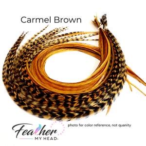 Carmel Brown Hair Feather Extensions. (1) Feather, Long Lengths and Hair Feather Kit Available