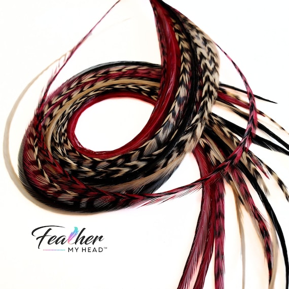 hair feathers Extension Kit: 6 Real Very Long Feathers, Brown Red Black, Pick Size - Sedona Mix