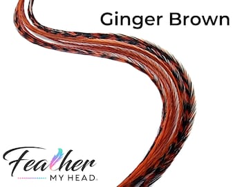 Ginger Brown Hair Feather Extension Kit, (6) Real Feathers with Optional DIY Kit, Pick Your Length Short Feathers up to 16" Long