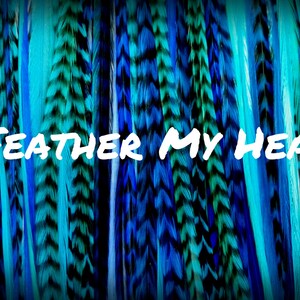16 DIY Kit Whiting Feather Hair Extensions  Long 9&quot;-12&quot; (23-31cm) River Dance Boho Collection - Premium Grade Whiting Euro - Blue - W/ Beads