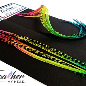 Rainbow Feather Hair Extension Kit, 6 Real Feathers in Lengths up to 16 Plus Inches Long , Butterfly Kisses Mix
