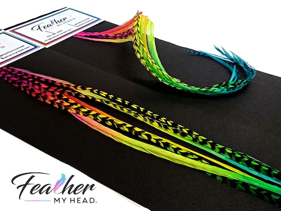 Rainbow feather hair extensions 2025