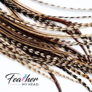 Premium Natural Cree Rooster Feathers - Rare Brown and Black Striped Pattern - 16+ inch Hair Extensions - USA-Sourced