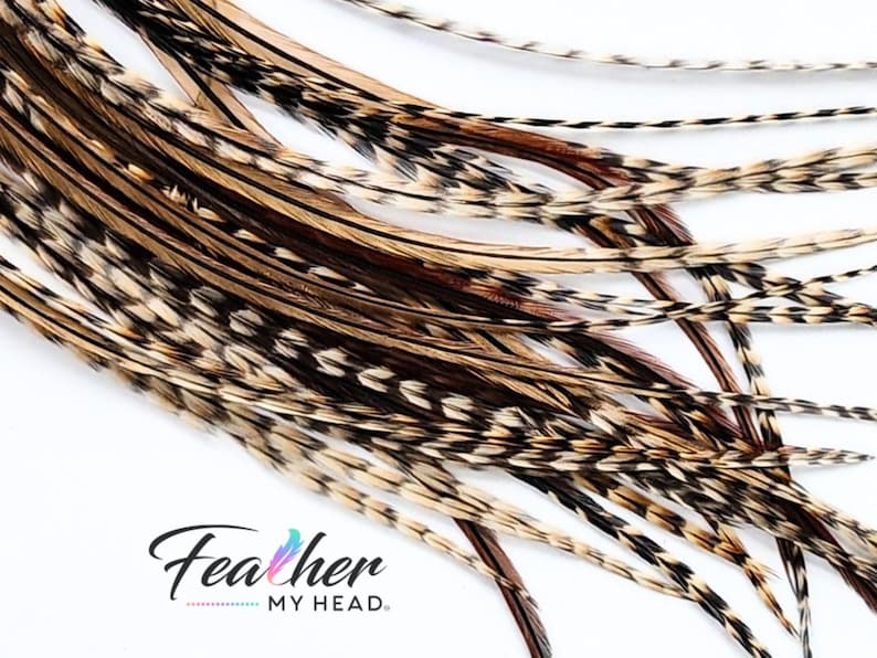 Premium Natural Cree Rooster Feathers - Rare Brown and Black Striped Pattern - 16+ inch Hair Extensions - USA-Sourced