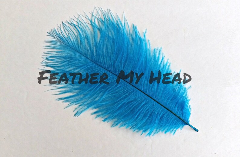 Ostrich Feathers 5 Pc 68 Long 2.36-3.14cm Pick Your Color image 4