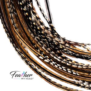 Premium Natural Cree Rooster Feathers - Rare Brown and Black Striped Pattern - 16+ inch Hair Extensions - USA-Sourced
