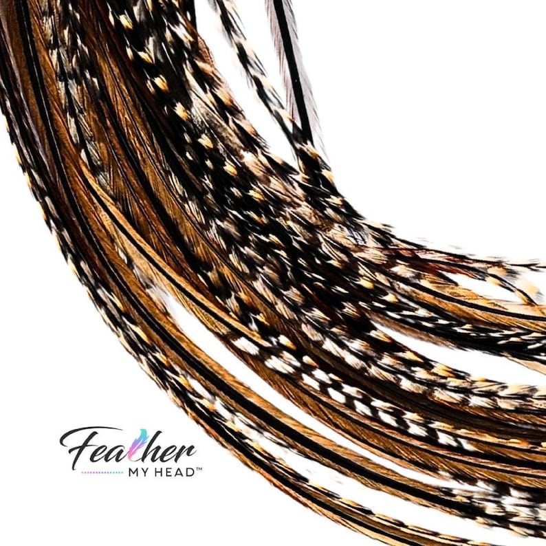 Premium Natural Cree Rooster Feathers - Rare Brown and Black Striped Pattern - 16+ inch Hair Extensions - USA-Sourced