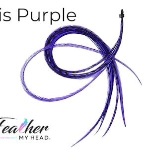 May include: Purple feather hair extensions with black accents. The feathers are tied together with a black string and a black bead at the top.