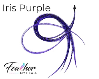 Purple Iris Hair Feather Extensions. 6 Hair Feathers, Long Lengths and Hair Feather Kit Available