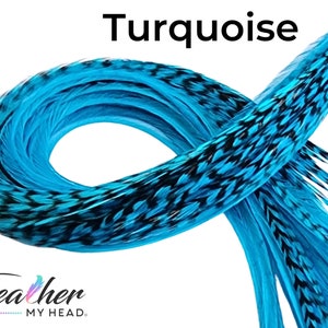 Blue - Turquoise Hair Feather Extensions. (1) Feather, Long Lengths and Hair Feather Kit Available
