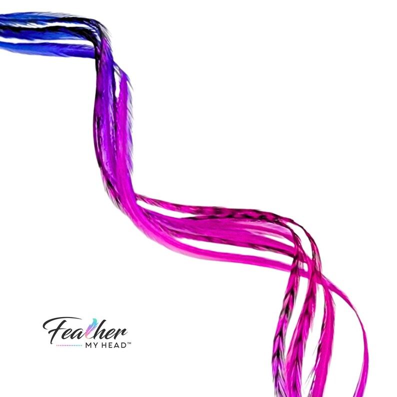 Curled Summer Berry rainbow tie dye feather hair extensions heat safe real rooster feathers in pink purple and blue