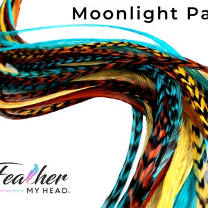 Moonlight Path Hair Feathers. 16 Premium Feathers in Earthy Tones of Blue and Brown. Pick Your length up 10 16 Plus In Long, Optional Kit