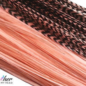 Light Coral OrangeHair Feather Extensions. (6) Feathers. Long Lengths Over 16 Inches and Hair Feather Kit Available