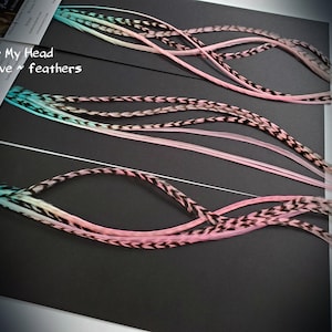 May include: Three strands of pink, white, and teal feathers with black tips. The feathers are arranged in a curved shape on a black background. The text "Feather My Head live love feathers" is visible in the top left corner of the image.