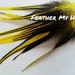 see more listings in the Wide Hair Feathers section