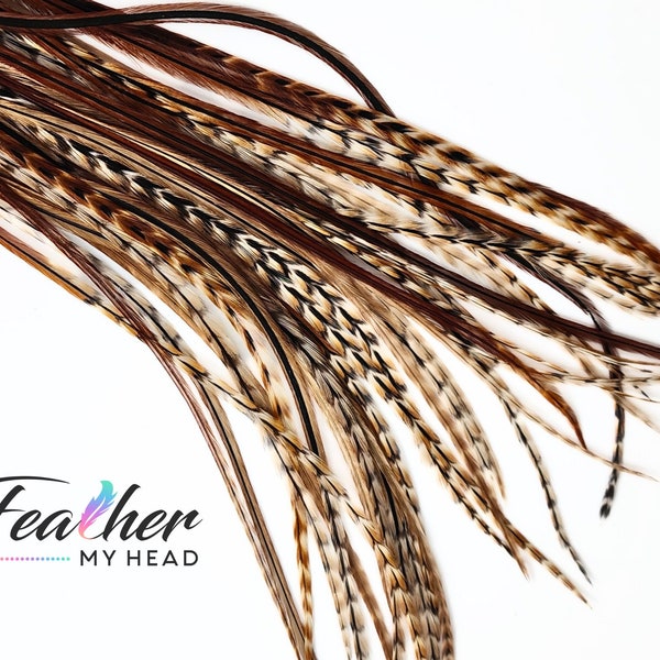 Barred Ginger Variant Hair Feathers, Rare and Unique - Pick Your Length 10 - 16 Inches Long, 6 Feather Extensions - Brown, Red, Natural