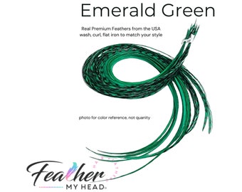 Feather Hair Extension Kit, 6 Real Feathers, Optional DIY Kit, Pick Length Short to 16" Long, (6) Emerald Green