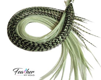 Feather Extensions, Sage Green Hair Accent, Long Length, Single or Kit Option