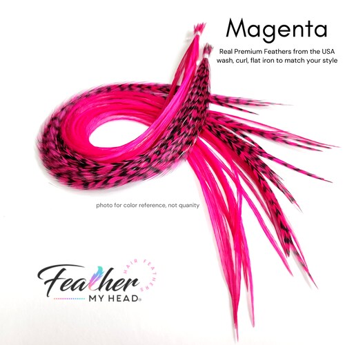 Feather Hair Extension Kit 6 Real Feathers Pick Your Length Etsy