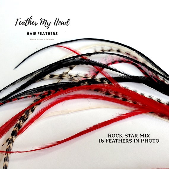 Black Solid Dyed Hair Feather Extensions. Long Lengths and Hair Feather Kit  Available.