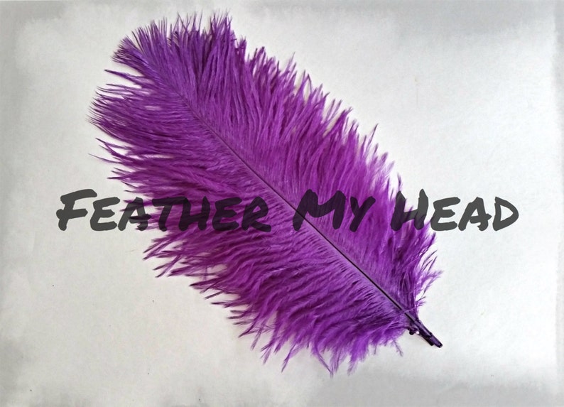 Ostrich Feathers 5 Pc 68 Long 2.36-3.14cm Pick Your Color image 3