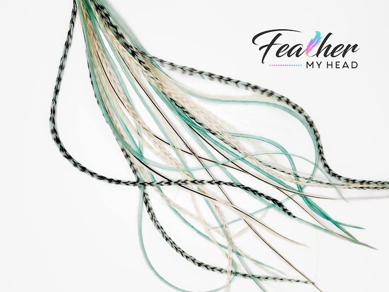 May include: A bundle of teal, white, and black feathers with a black and white patterned base. The feathers are arranged in a fan shape and are ready to be used for crafting or hair extensions. The text "Feather My Head" is visible in the top right corner of the image.