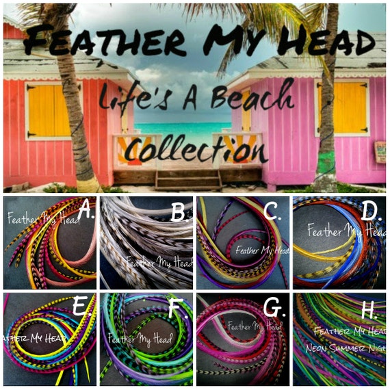 Salon Pack - Bright Hair Feathers - 100 Feather Extensions 9 to 12 Long