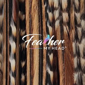 Premium Natural Cree Rooster Feathers - Rare Brown and Black Striped Pattern - 16+ inch Hair Extensions - USA-Sourced