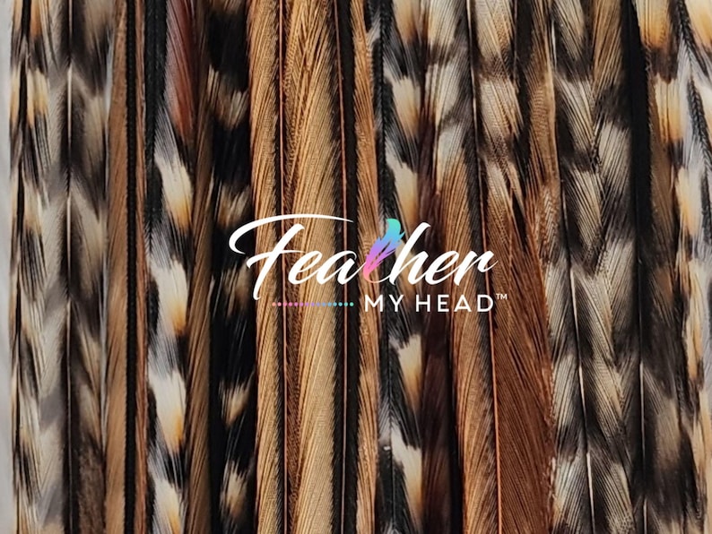 Premium Natural Cree Rooster Feathers - Rare Brown and Black Striped Pattern - 16+ inch Hair Extensions - USA-Sourced