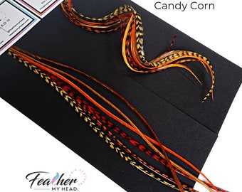 Feather Hair Extension Kit, 6 Real Hair Feathers, Pick Your Length up to 16 Inches  Long, Optional Installation Kit, Candy Corn Mix