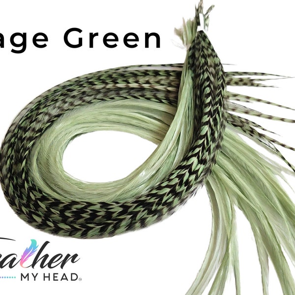 Sage Green Hair Feather Extensions. (1) Feather, Long Lengths and Hair Feather Kit Available