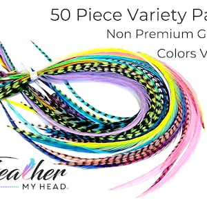 Discounted Hair Feather Extensions - 50 Piece Variety Pack of Colors - Feather Kit Available