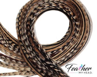 Extensiones de cabello con plumas de gallo Grizzly: Rayas marrones y negras, procedentes de EE. UU.