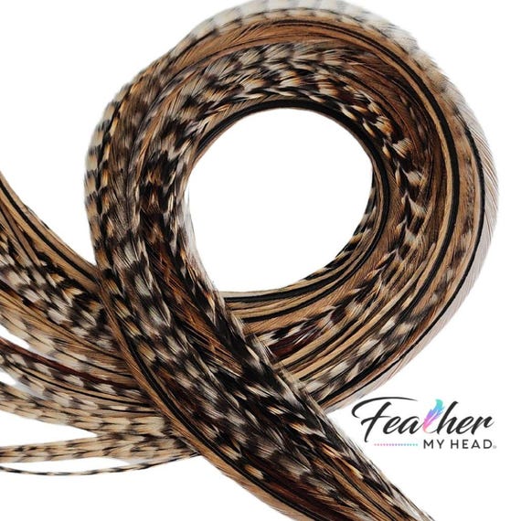 Grizzly Rooster Feather Hair Extensions: Brown Black Striped, USA Sourced