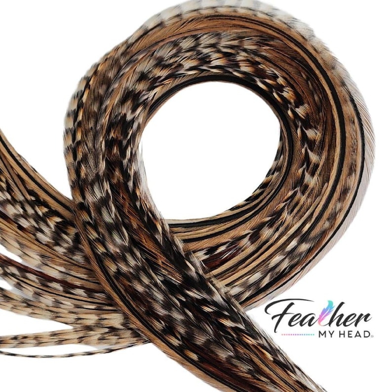 Premium Natural Cree Rooster Feathers - Rare Brown and Black Striped Pattern - 16+ inch Hair Extensions - USA-Sourced