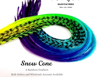 Snow Cone Hair Extensions, Multiple Colors On One Feather in Shades of Purple, Blue, Green, Yellow. 6 Strands, Optional Kit