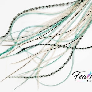 May include: A bundle of teal, white, and black feathers with a black and white striped pattern. The feathers are arranged in a loose, flowing pattern.