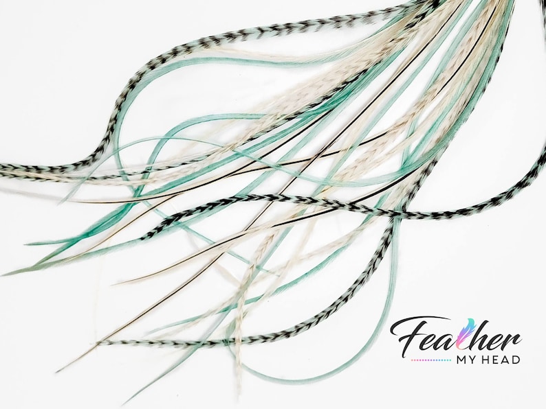 May include: A bundle of teal, white, and black feathers with a black and white striped pattern. The feathers are arranged in a loose, flowing pattern.